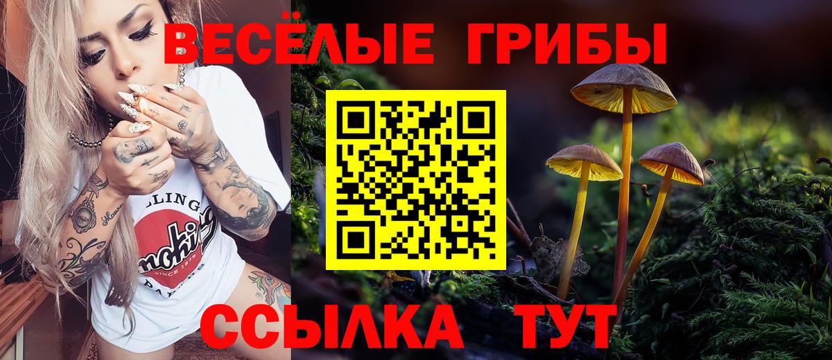 Галлюциногенные грибы ЛСД Гуково